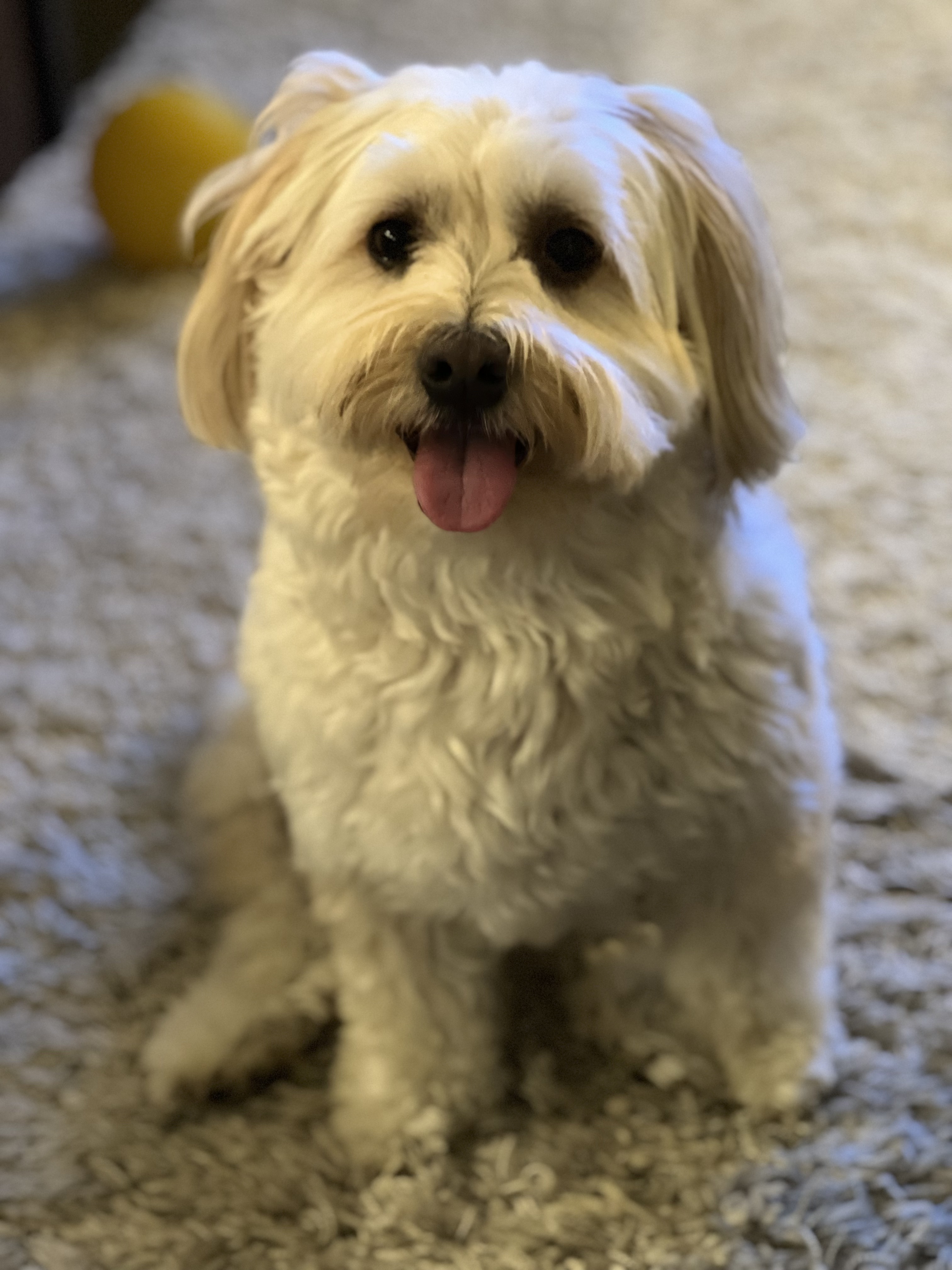 Cosmo looking handsome